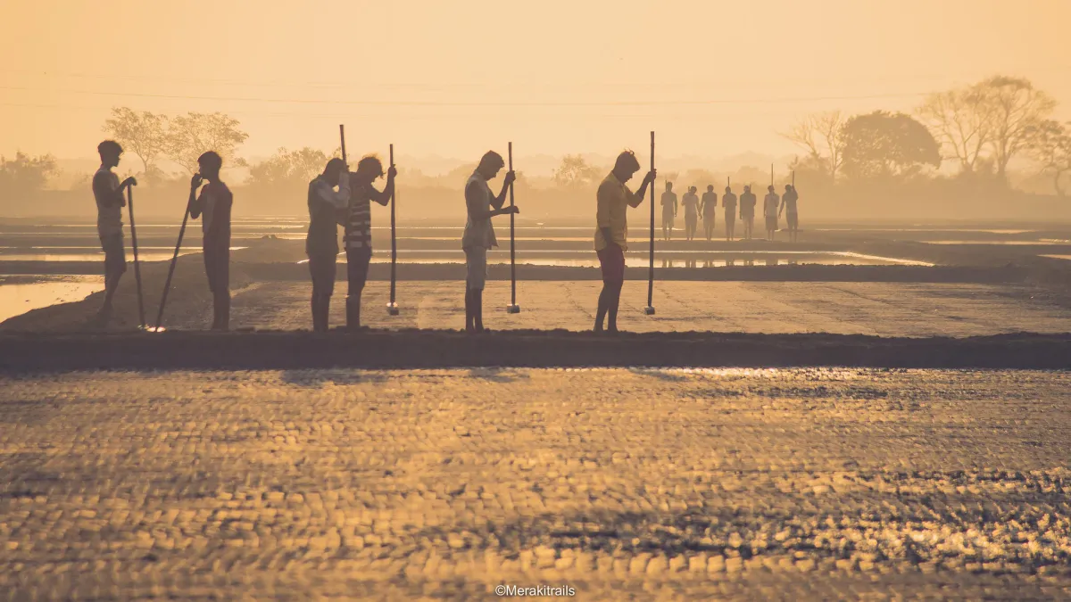 IPCC: A decade to decarbonise the world