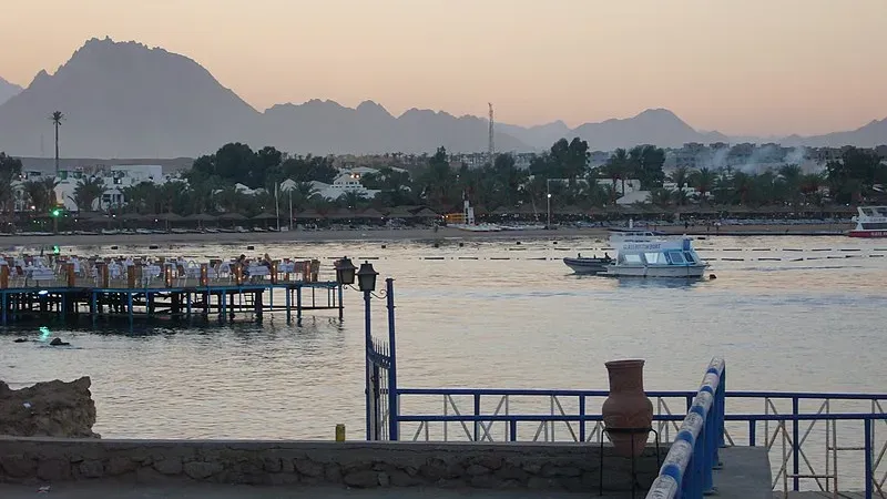 Road to Egypt: Top five challenges for India ahead of COP27