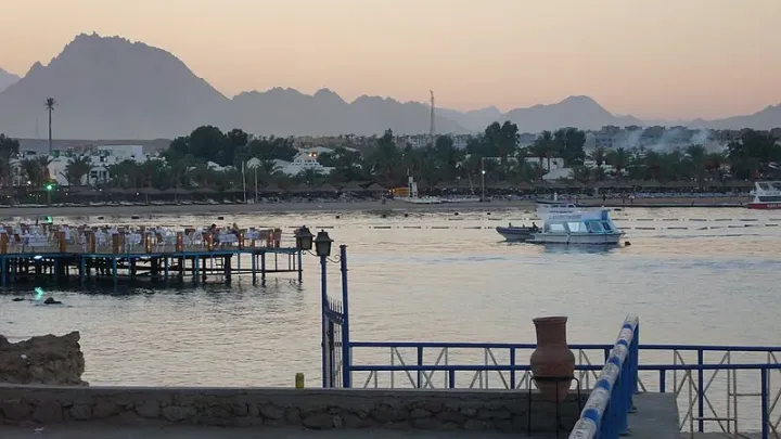 Road to Egypt: Top five challenges for India ahead of COP27